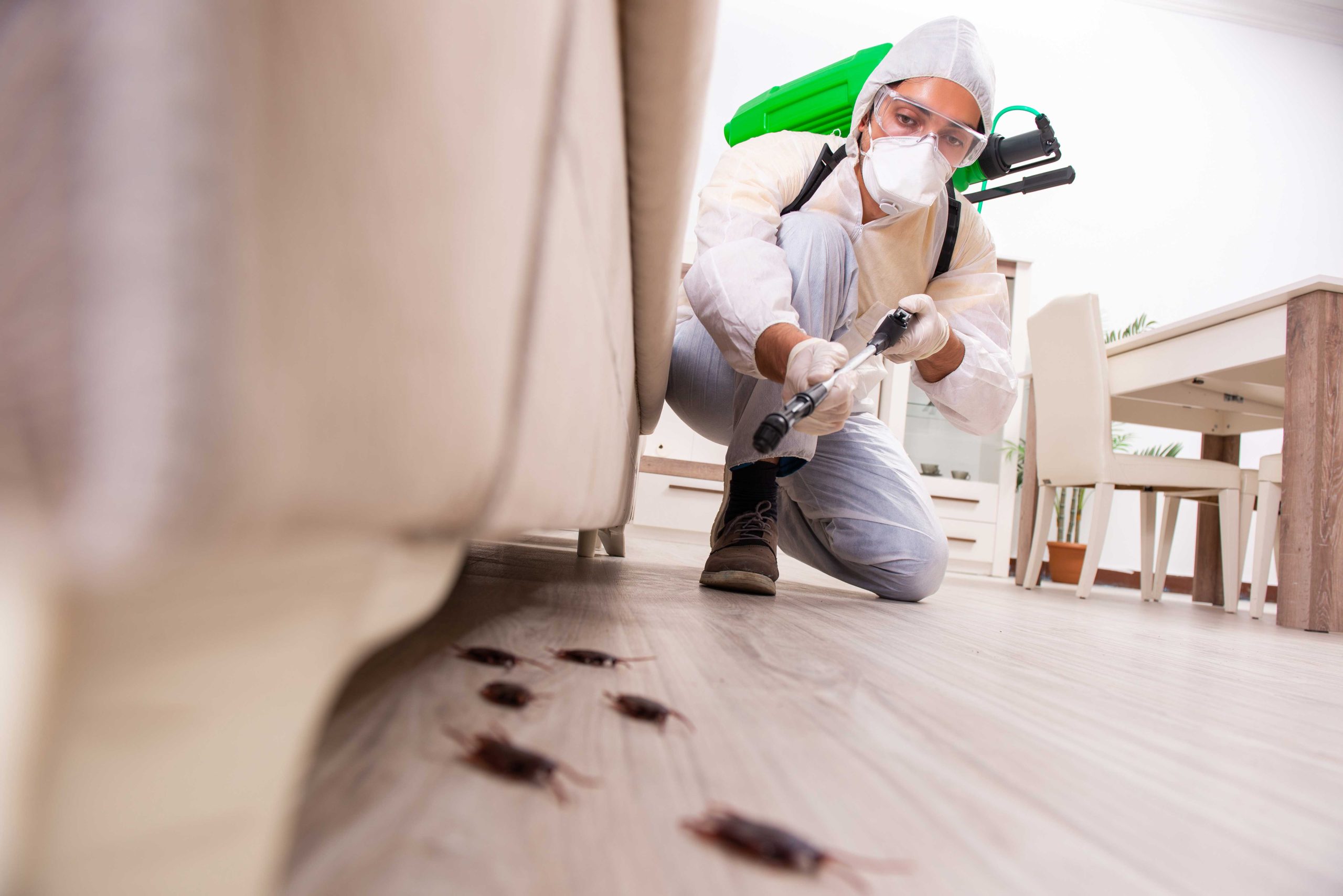 Pest-Control experts in Peachtree Corners specializing in prevention and eradication of various pests. Don't let pests damage your property and endanger your health.